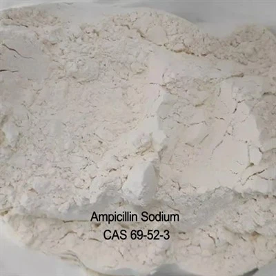 99% renhet cas 69-52-3 råstoff ampicillin natriumpulver farmasøytisk